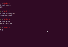 How to enable 256 color terminal in Ubuntu ? Enable 256 color terminal