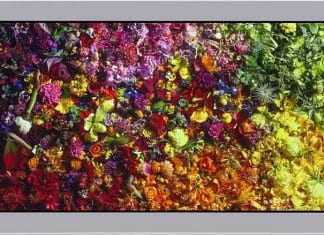 World’s First Monitor with 8K display in just 17 inch LCD World’s First Monitor with 8K display