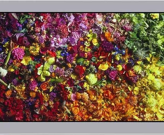 World’s First Monitor with 8K display in just 17 inch LCD World’s First Monitor with 8K display