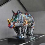 erica-the-rhino-100573021-gallery