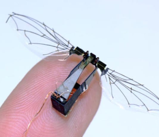 RoboBee: insect-sized robot that can fly and swim Latest tech Robobee-techcresendo