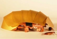 CRAM – Cockroach inspired robots can squeeze through cracks CRAM – Cockroach inspired robots can squeeze through cracks