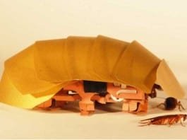 CRAM – Cockroach inspired robots can squeeze through cracks CRAM – Cockroach inspired robots can squeeze through cracks