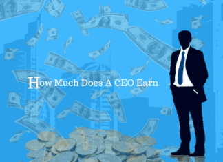 How Much Does A CEO Earn- Corporate Knowledge How Much Does A CEO Earn (Knowledge Area)