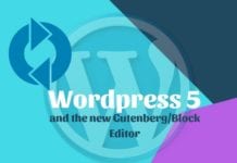 WordPress 5 Update: How, When Things to Know Before Installing WordPress 5 Update: How, When Things to Know Before Installing