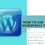 How To Use WordPress Tags And Organize Them In A Proper Way