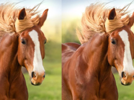 AI Image Enlarger: A free tool to enlarged small definition images to high definition without losing quality AI Image Enlarger