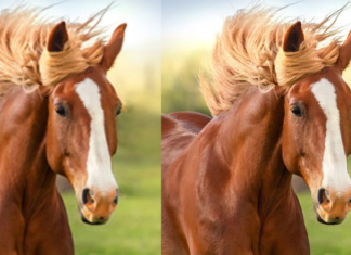 AI Image Enlarger: A free tool to enlarged small definition images to high definition without losing quality AI Image Enlarger