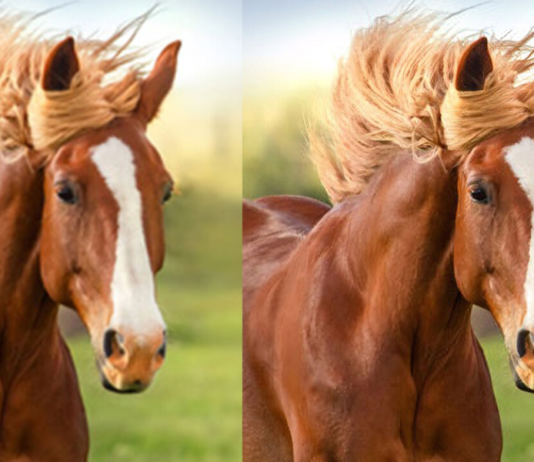 AI Image Enlarger: A free tool to enlarged small definition images to high definition without losing quality AI Image Enlarger