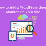 How_to_Add_a_WordPress_Query_Monitor_On_Your_Website_nfyisf