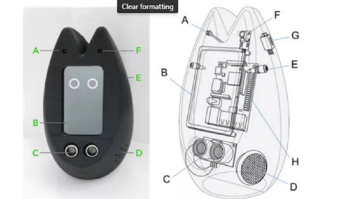 Fribo: A Robot Developed For Lonely People