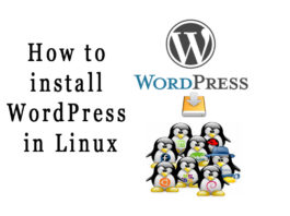 How to install WordPress in Linux Mint How to install WordPress in Linux Mint