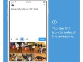 Twitter Launches GIF Search for Tweets, Direct Messages