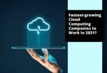 What are the fastest growing Cloud Computing Companies to Work in 2021? What are the fastest-growing Cloud Computing Companies to Work in 2021