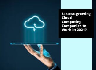 What are the fastest growing Cloud Computing Companies to Work in 2021? What are the fastest-growing Cloud Computing Companies to Work in 2021