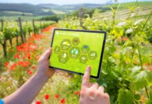 Data Analyst vs Data Scientist – Which Is Right Career Path? Data Analyst vs Data Scientist - Which Is Right Career Path