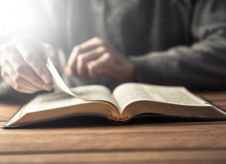 Best Books To Read For Freelancers Best Books To Read For Freelancers